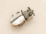 a beetle that is sitting on top of a table