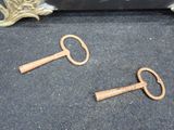 two keys that are laying on the ground