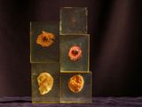 un vase en verre avec une fleur à l'intérieur sur une table