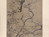 une photo d'un oiseau perché sur une branche d'arbre