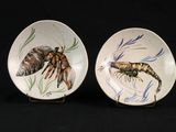 deux assiettes ornées de motifs différents sur fond noir