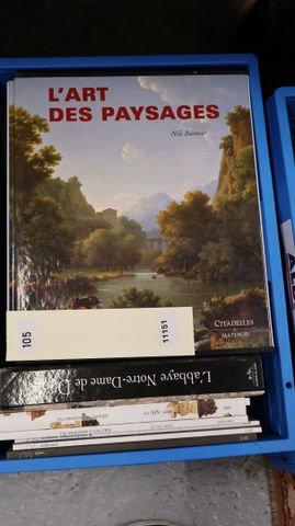 Lot de livres modernes sur l’art, la peinture et villes. 