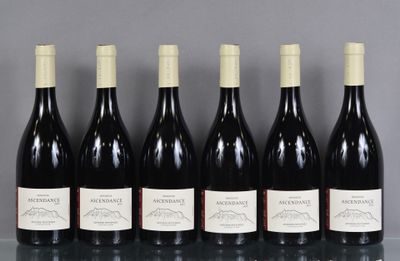 six bouteilles de vin sont alignées sur une table