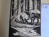 une photo d'un livre sur lequel figure un dessin
