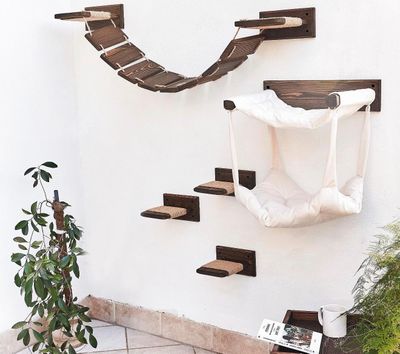une photo d'un arbre à chat sur lequel se trouve un panier pour chat