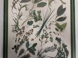 une photo d'une photo représentant un bouquet d'herbes aromatiques