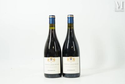 deux bouteilles de vin rouge posées l'une à côté de l'autre sur une surface blanche