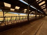 une gare avec un train au milieu