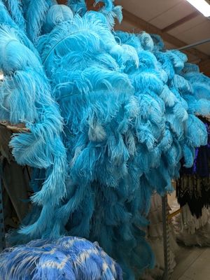 une grande quantité de plumes bleues exposées dans un magasin