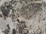 Photo 6/12 du lot