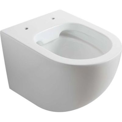 the toilet bowl is white and has no lid on it