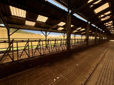 une gare avec un train au milieu