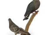 deux oiseaux perchés sur une branche, sur fond blanc