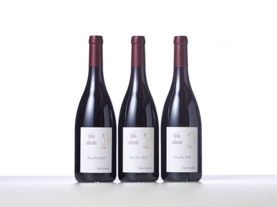 three bottles of red wine are lined up on a table