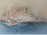 a picture of a drawing of a woman laying on a shell
