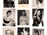 several black and white photographs of marilyn monroe posing for a picture