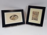 two framed pictures of a dog and a cat laying on a bed