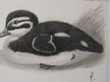 a drawing of a duck and a duckling on a piece of paper