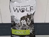 des croquettes pour chiens adultes « The Hunger Wolf » dans un sac posé sur un comptoir