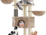 Plusieurs chats sont perchés au sommet d'un arbre à chat et jouent ensemble.