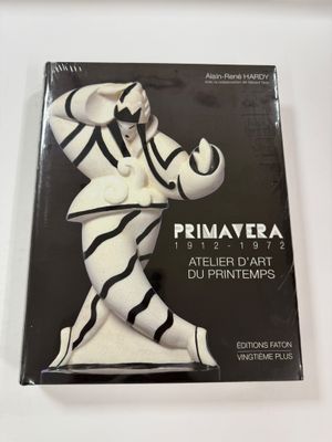 a book with a picture of a man in a zebra suit