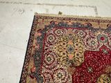 a cat that is sitting on a rug on the floor