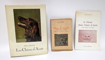 three books sitting on a white surface with a dog in the background