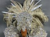 une image représentant un costume fait de plumes et de plumes