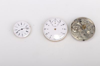 Plusieurs types d'horloges sont exposés sur une surface blanche