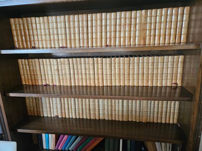une bibliothèque sur laquelle sont rangés de nombreux livres