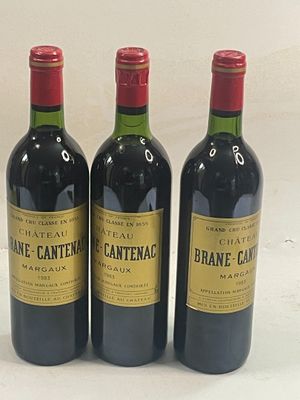 3 bouteilles Château BRANE CANTENAC 1983 GCC Margaux 1 NTLB