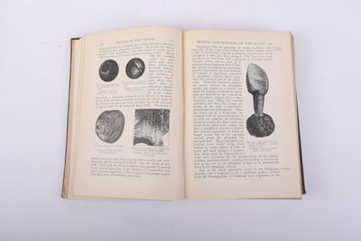 MURRAY (John) - HJORT (Dr Johan)