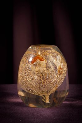 a glass vase with a fish inside of it on a table