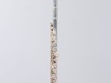 an image of a flute on a clear stand against a white background