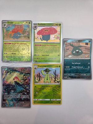 plusieurs cartes Pokémon différentes posées sur une surface blanche, avec un fond blanc