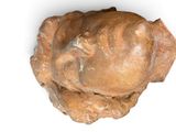 a sculpture of a head made of clay on a white surface