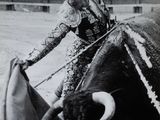 Photo 16/20 du lot