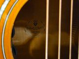 a close up of a guitar with a label on it