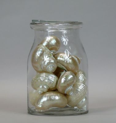 a glass jar filled with shells on a white surface