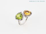 une image représentant une bague ornée de deux pierres de couleurs différentes