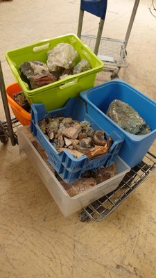 un chariot rempli de différentes sortes de poissons posé par terre