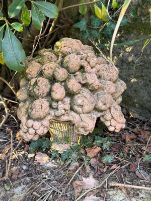 Deux coupes de fruits en terre cuite - Hauteur : 44 cm