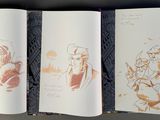 three pages of a book with drawings on them