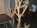 un arbre qui se dresse au milieu d'une pièce