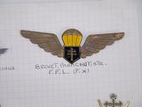 a picture of a badge with a crown on it