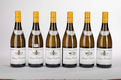 six bouteilles de vin blanc sont alignées sur une table