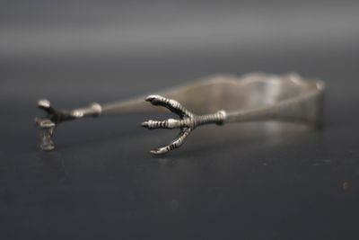 une cuillère en argent d'où sort la patte d'un oiseau