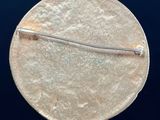 a close up of a silver pin with a needle in it