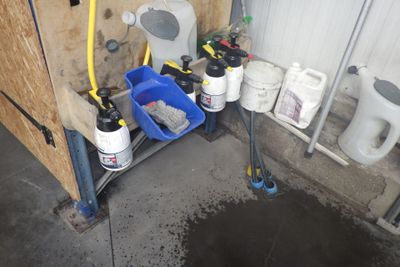 une photo d'une salle de bains avec des toilettes et un seau d'eau