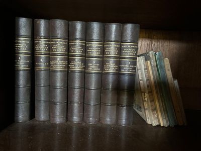 beaucoup de livres qui traînent sur une étagère